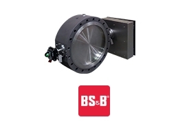 BS&B (Buckling Pin Relief Valve)